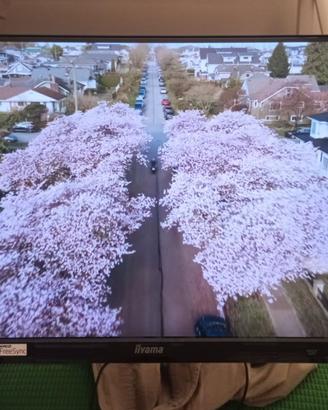 Monitor iiyama XU2293HS