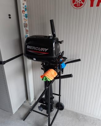 Mercury fuoribordo 
