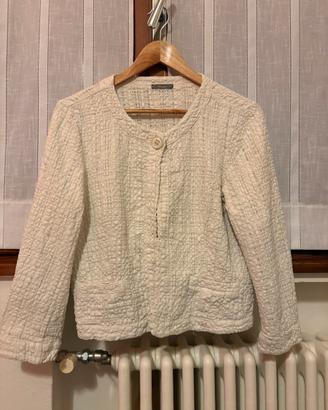 Giacchettina primaverile Dixie M