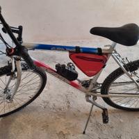 MTB 26" Graphic - Cambio Shimano + Accessori