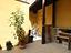 Immagine 8