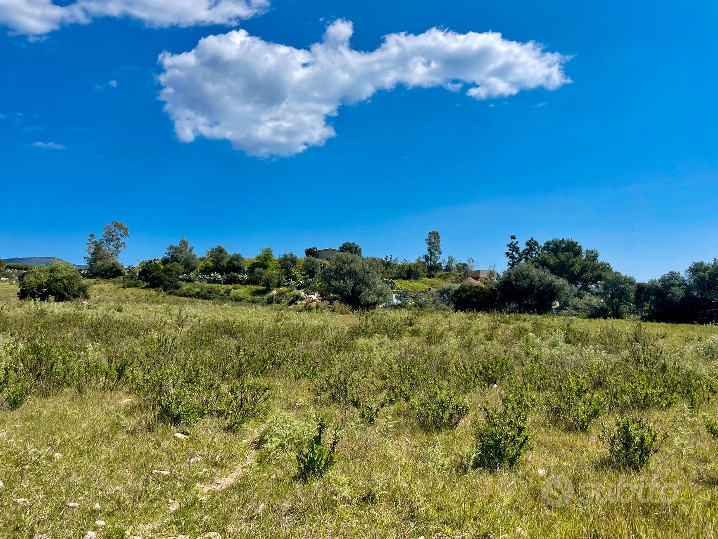 Terreno pianeggiante con rustico - Vista 4