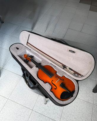 Violino