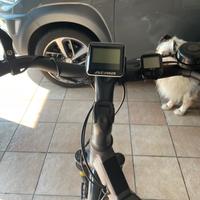 EBIKE ATALA CULT 8.1