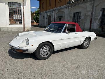 Alfa spider veloce