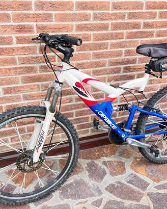 Bici mountain bike