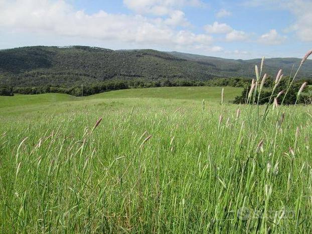 Terreno agricolo a Riccione