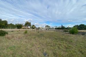 Terreno agricolo a Maglie Via Giosuè Carducci