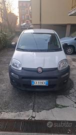 Fiat panda 2015