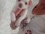 Immagine 1