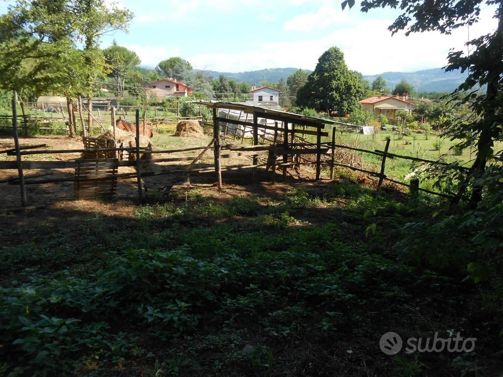 Terreno di 1790 m² a Lucca - Vista 5