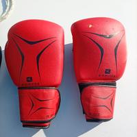Guantoni da pugilato 
