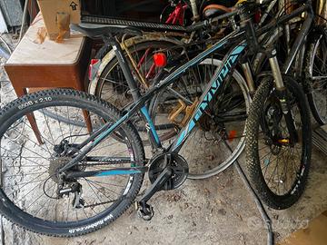 Coppia MTB OLIMPIA cruiser americana bici da sist