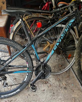 Coppia MTB OLIMPIA cruiser americana bici da sist