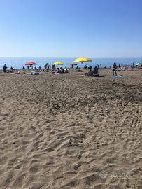 Ultime vacanze estive