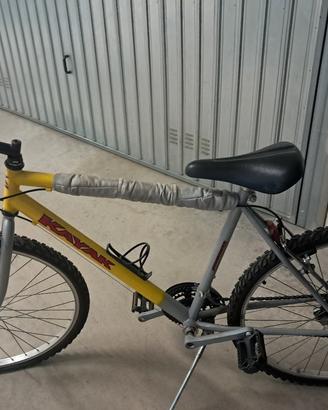 biciclette