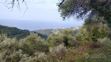 TER. AGRICOLO A LAVAGNA