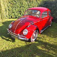 Volkswagen maggiolino 6V "nasino" 1963