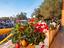 Immagine 28