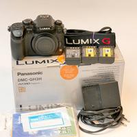 Panasonic Lumix GH3