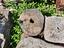 Immagine 28