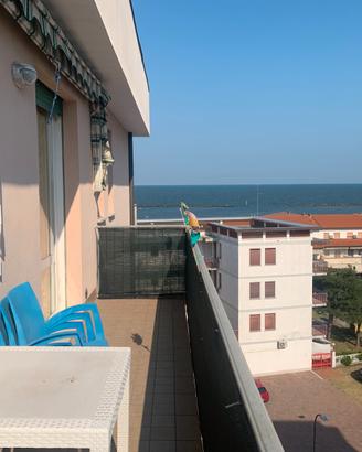29/8-5/9 VISTA MARE a Lido di Pomposa -279-