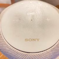 sony srs ra3000 home speaker