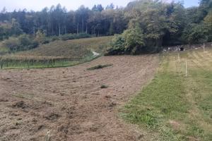 Terreno agricolo