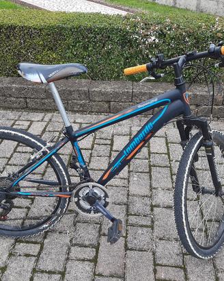 mountain bike bambino 