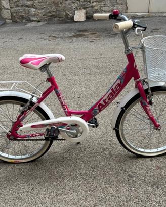 bicicletta
