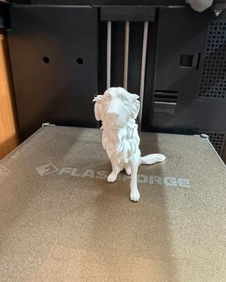 Realizza la scultura realistica del tuo cane!