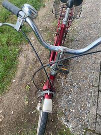 Bici donna delma