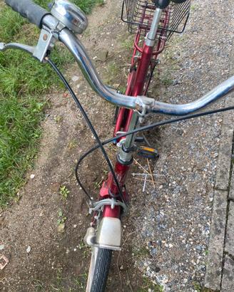 Bici donna delma