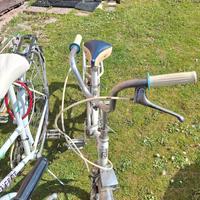 Biciclette conservate, ritiro in loco.