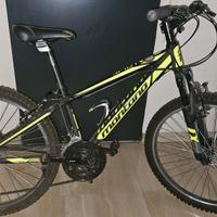 montagna bike  24' 