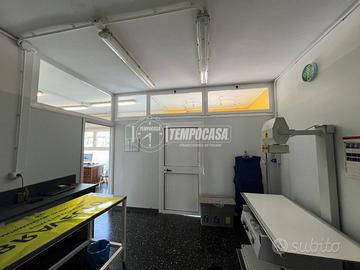 APPARTAMENTO POSTO AL PIANO TERRA