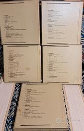 Raccolta vinili  musica