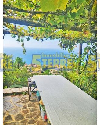 Rustico / Casale di 50 m² con 2 locali a Riomaggio