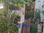Immagine 5