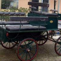 Carrozza wagonette