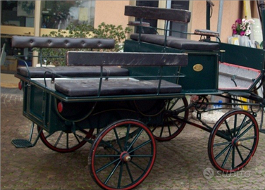 Carrozza wagonette