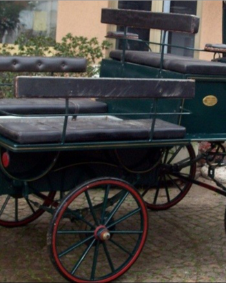 Carrozza wagonette