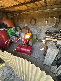 Antonio Carrara Tigre 2500