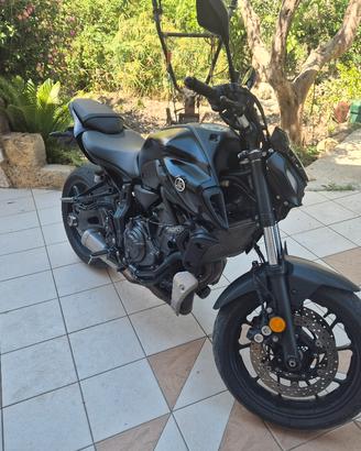yamaha mt07 anno 2024