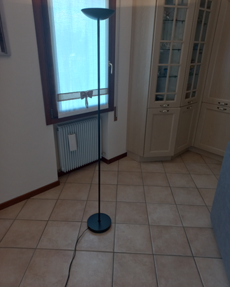 Lampada a piantana nera
