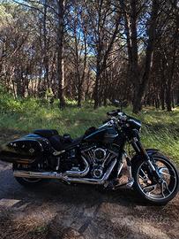 Harley Davidson Sport Glide 12/2024