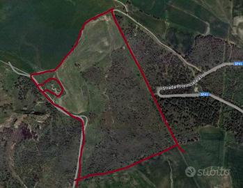 Rif.3650TG82085| terreno agricolo mussomeli