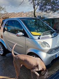 smart diesel fortwo 2005