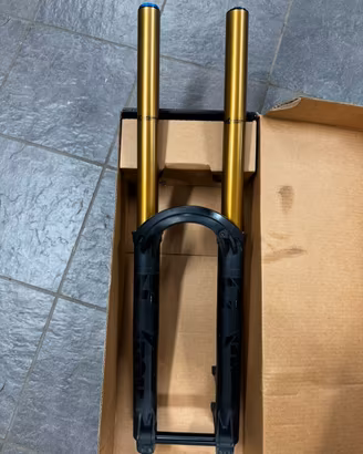 Fox Kashima 40 Factory 2022