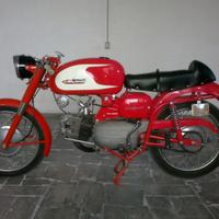 AERMACCHI ALA VERDE Prima serie - 1961
